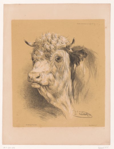 Studio di un bue da Pierre Frédéric Lehnert