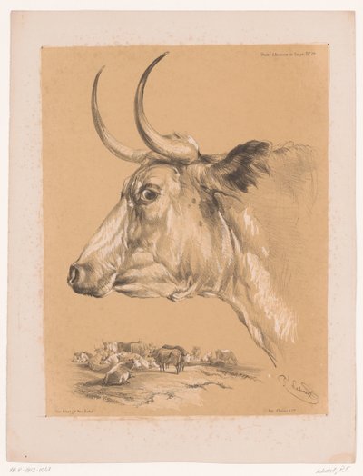 Studio di un bovino da Pierre Frédéric Lehnert