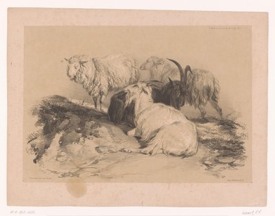 Studio di pecore e capre da Pierre Frédéric Lehnert