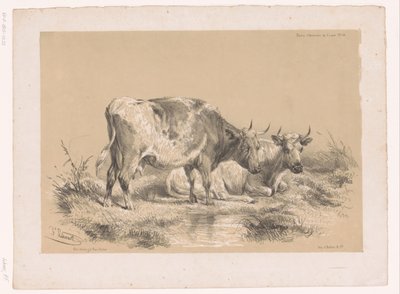 Studio di due mucche da Pierre Frédéric Lehnert