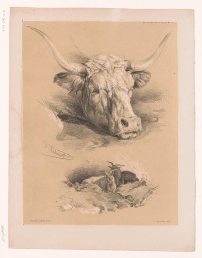 Studi della testa di un bovino e due caproni (Dierstudies van Cooper) da Pierre Frédéric Lehnert