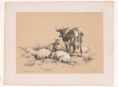 Studi di quattro pecore e una mucca da Pierre Frédéric Lehnert