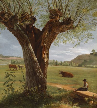 Salice Capitozzato da Pierre Jean Boquet