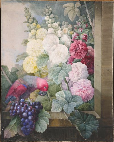 Malvarosa, uva e un pappagallo, 1836 da Pierre Joseph Redouté