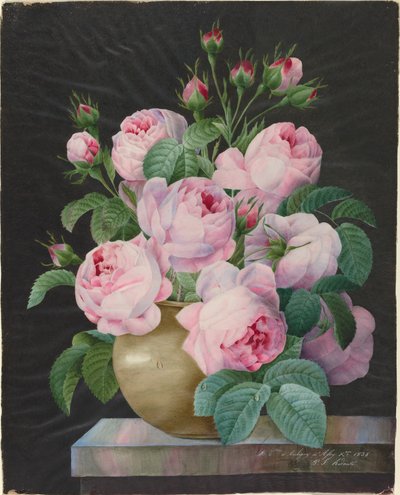 Rose Rosa in un Vaso da Pierre Joseph Redouté