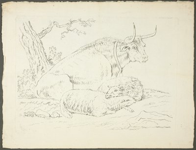 Un toro e due pecore da Pierre Lelu