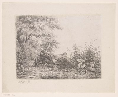 Albero caduto al margine del bosco da Pierre Louis Dubourcq