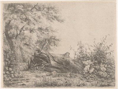 Albero caduto al margine del bosco da Pierre Louis Dubourcq