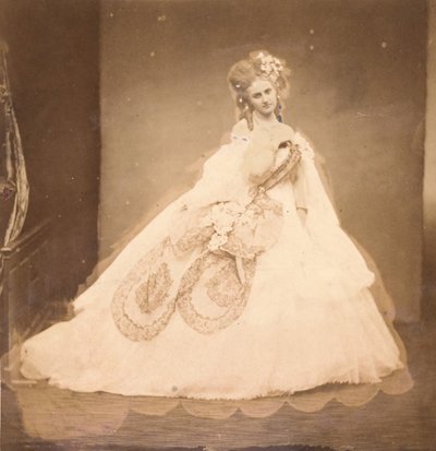 La Bisi. Boudoir, vestaglia di velluto grigio, moiré rosa, fiori rosa, foglie grigie di sa mai, 1860s da Pierre Louis Pierson