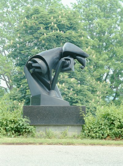 Il Cavallo da Pierre Maurice Raymond Duchamp Villon
