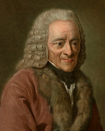 Ritratto di Voltaire da Pierre Michel Alix