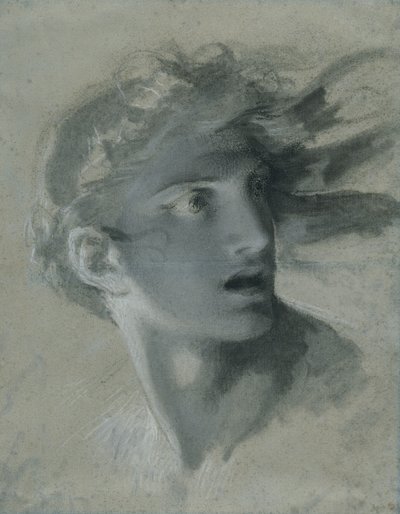 Testa della vendetta, c.1804 da Pierre Paul Prudhon