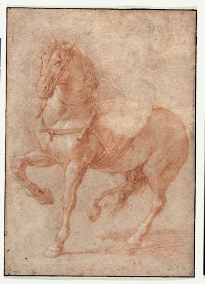 Studio di Bucefalo per il rilievo "Alessandro e Diogene da Pierre Puget