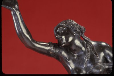 Il rapimento di Elena da Pierre Puget