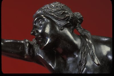 Il rapimento di Elena da Pierre Puget