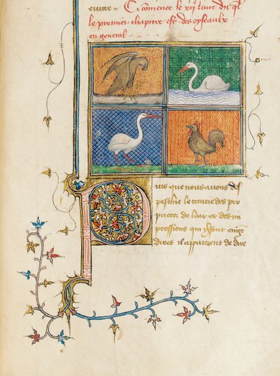 Pagina da "De Proprietatibus Rerum" di Bartholomeus Anglicus, nella traduzione francese di Jean Corbechon, c.1390 da Pierre Remiet