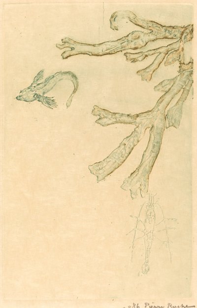 Alghe Marine da Pierre Roche