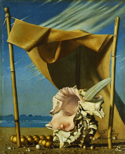 Conchiglia e drappo, c.1930 da Pierre Roy