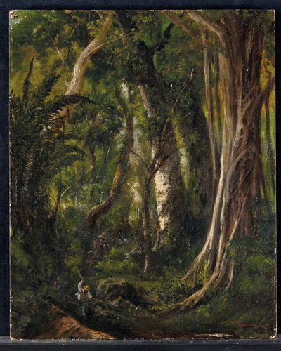 Viaggiatori in una foresta cubana da Pierre Toussaint Frédéric Mialhe