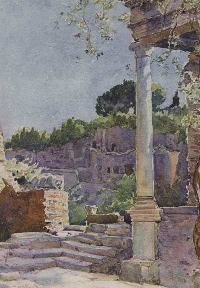 Roma, il Foro da Pierre Vignal
