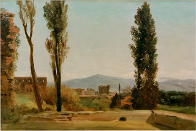 Nei giardini Farnese: I tre pioppi e il Monte da Pierre de Valenciennes