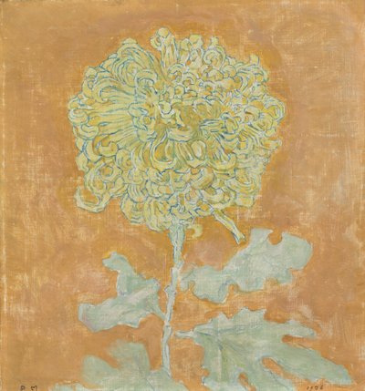 Crisantemo da Piet Mondrian