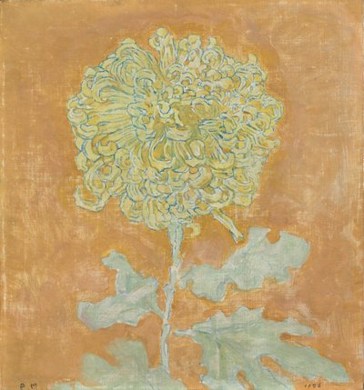 Crisantemo da Piet Mondrian