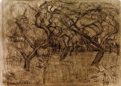 Frutteto da Piet Mondrian