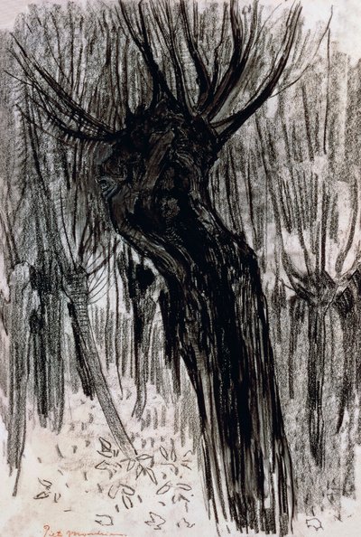 Salici da Piet Mondrian