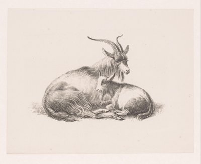 Capra e un capretto da Pieter Bartholomeusz. Barbiers