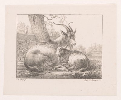 Capra e caprone nel paesaggio da Pieter Bartholomeusz. Barbiers