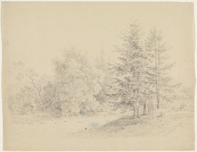 Veduta del bosco con pini da Pieter Bartholomeusz. Barbiers