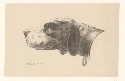 Testa di cane con collare da Pieter Bartholomeusz. Barbiers