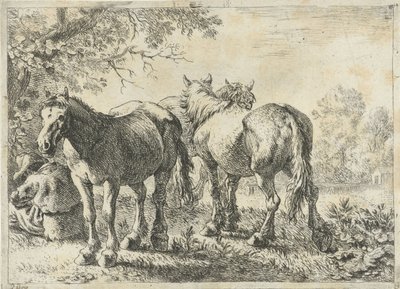 Tre cavalli e un contadino da Pieter Bodding van Laer