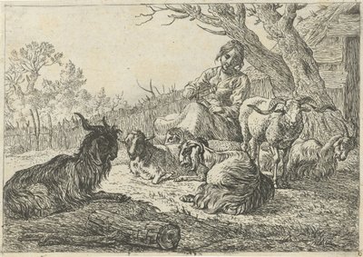 Pastorella tra capre e pecore (Diversi animali) da Pieter Bodding van Laer