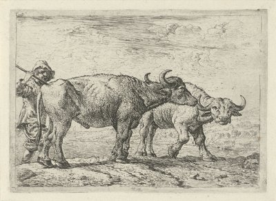 Due bufali e un pastore da Pieter Bodding van Laer