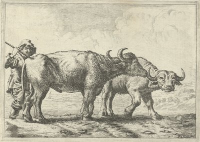 Due bufali e un pastore da Pieter Bodding van Laer