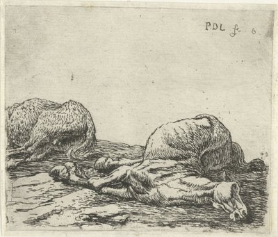 Due cavalli morti da Pieter Bodding van Laer
