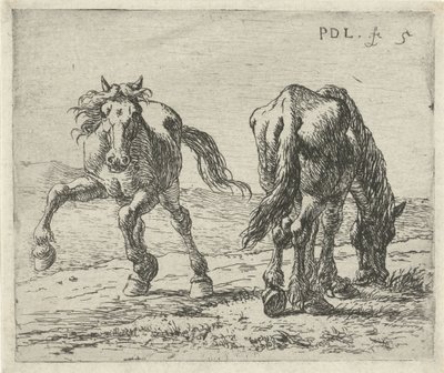 Due cavalli in un prato (Cavalli) da Pieter Bodding van Laer