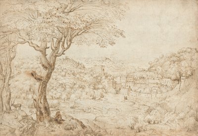 Paesaggio con la penitenza di San Girolamo da Pieter Bruegel the Elder