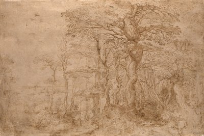 Paesaggio silvano con cinque orsi da Pieter Bruegel the Elder