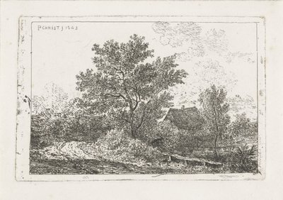 Paesaggio con fattoria da Pieter Casper Christ