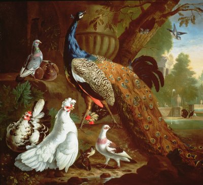 Un pavone in un paesaggio classico, 1719 da Pieter Casteels