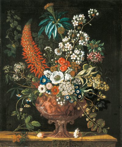 Dicembre, da I Dodici Mesi di Fiori, un calendario floreale di nature morte, 1730 da Pieter Casteels
