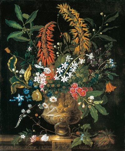 Gennaio, dai Dodici Mesi di Fiori, un calendario floreale di nature morte da Pieter Casteels