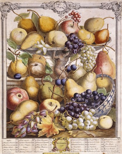 Novembre 1732, con mele stagionali, pere, uva ecc., 1732 da Pieter Casteels