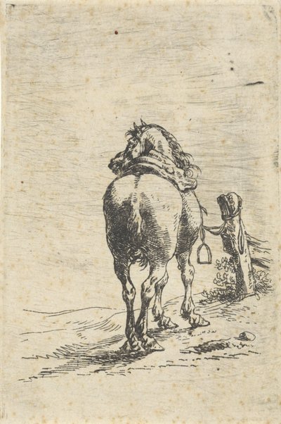Cavallo sellato legato a un palo da Pieter Cornelisz. Verbeeck