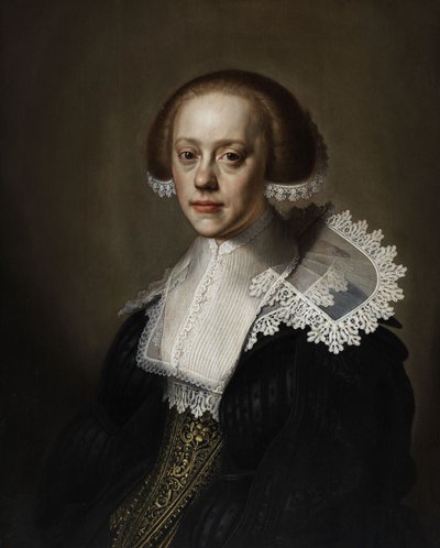Ritratto di una signora da Pieter Dubordieu
