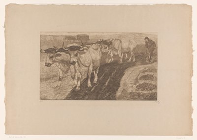 Buoi che arano da Pieter Dupont (signed by artist)