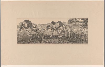 Cavalli che arano da Pieter Dupont (signed by artist)